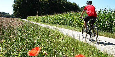 Fitness-Biking